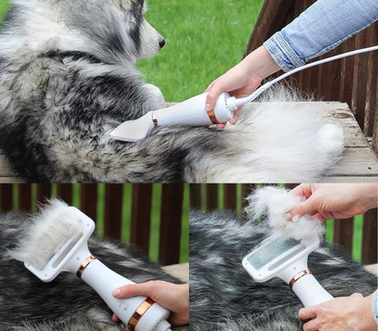 Secador 2 en 1 para Mascota