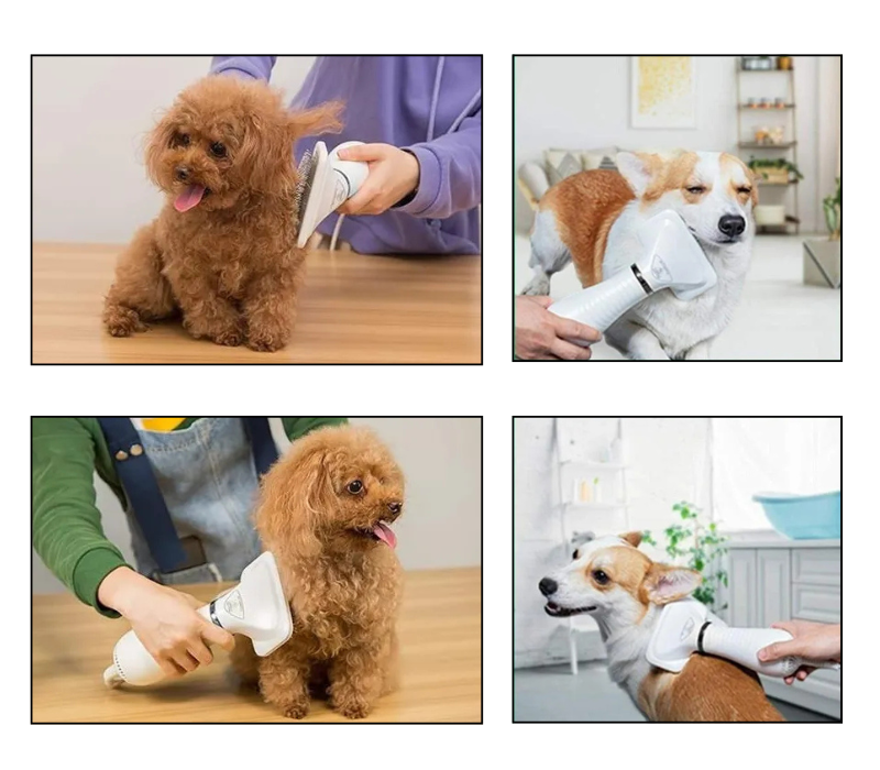 Secador 2 en 1 para Mascota