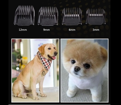 Kit de belleza para tu canino